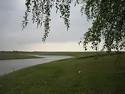 Landscape in Chaplyginsky District