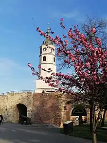 Clock Gate and Clock Tower