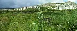 Chalk slopes in Belogorye Nature Reserve, Novooskolsky District
