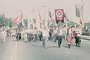 Flags of various Cossack groups (along with the flag of Ukraine and the Belarusian white-red-white flag) being waved by marchers