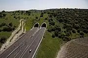 Cross-Israel Highway