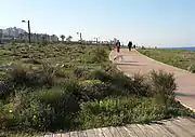 Haifa, Shikmona shore promenade