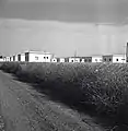Workers housing, Afula 1946