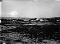Bedouin encampment Ness Ziona 1934