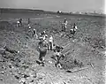 Ein HaHoresh drainage work 1936