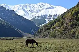 Dasht-e Daryasar, Mount Sialan