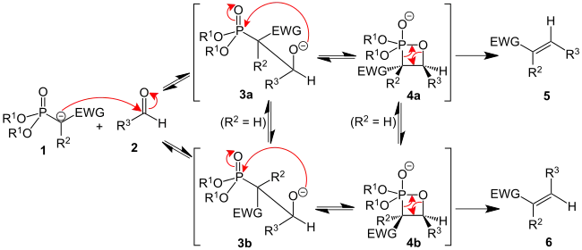 The mechanism of the Horner-Wadsworth-Emmons reaction