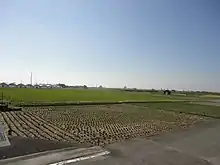 Chiaki Paddy field