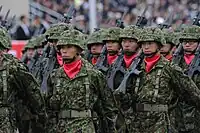 Japan Ground Self-Defense Force soldiers, wearing red ascots
