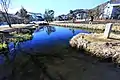Shobuike Pond (菖蒲池)