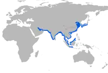 Narrow-ridged finless porpoise range (red color)