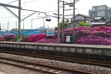 The island platform on the side of platform 1. The track in the foreground is the siding.