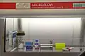 Lab of pathobiology cells and extracellular matrix-Efferent cell culture