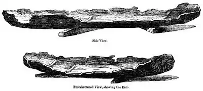 Ancient British dugout canoe