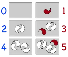 On the left, boxes with 0, 2, and 4 white objects in pairs; on the right, 1, 3, and 5 objects, with the unpaired object in red