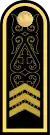 Бірінші сатылы старшинаBirinşi satılı starşïna(Kazakh Naval Forces)