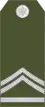Vodnik 1 klase(Montenegrin Ground Army)