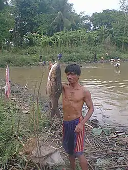 Fishing in Nakhon Pa Mak
