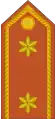 Teniente(Army of Equatorial Guinea)
