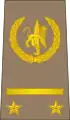 Lieutenant(Congolese Ground Forces)