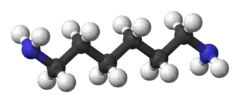 Ball and stick model of hexamethylenediamine