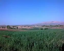 Nazar Qoli with Mount Kedar in the background.