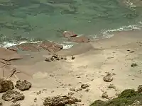 Australian sea lions on beach at Point Labatt.