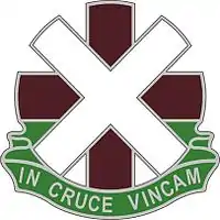 10th Combat Support Hospital"In Cruce Vincam"(I Shall Conquer By The Cross)