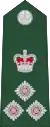 Brigadier general(Barbados Regiment)