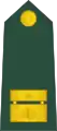 Major(Slovenian Ground Force)