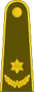 Majoras(Lithuanian Land Force)