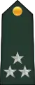 Général de division(Central African Ground Forces)