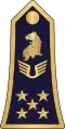 Général d'armée aérienne(Cameroon Air Force)