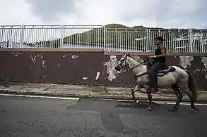 A resident on a horse after the hurricane