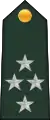 Général de corps d'armée(Central African Ground Forces)