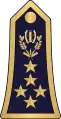 Général d'armée(Burkina Faso Army)