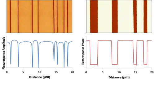 180° ferroelectric domains as imaged by PFM