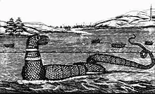 The Gloucester sea serpent of 1817