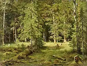 Forest, 1895