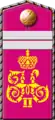 Military rank insignia(1904-1909)Junior sergeantin the role of a volunteer