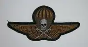 1940/2021M Embroidered parachutist badge