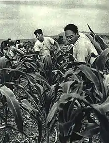 Li Zhun in 1963