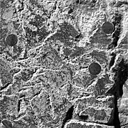 Figure 15. Close-up of sediment matrix and embedded hematite spherules abraded by Opportunity's Rock Abrasion Tool. This Eagle Crater image covers an approximate 32 mm x 32 mm area. It was taken on Sol 34 (2004-02-29).