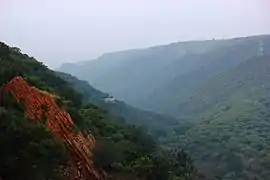 Forest cover of Aravalli range in Rajasthan