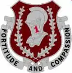 1st Medical Brigade"Fortitude and Compassion"