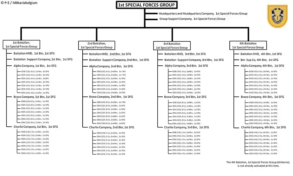 Current structure of the 1st SFG (A)