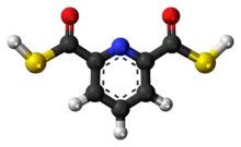 Ball-and-stick model of the 2,6-pyridinedicarbothioic acid molecule