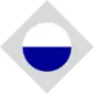 A two tone circular organizational shape inside a diamond
