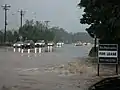 Storm drain overflowing in Durham, North Carolina