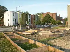 Fort Dupont Community Garden, Washington DC, 2010